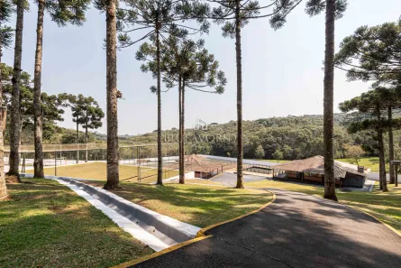 Fazenda / Sítio / Chácara à venda, 11734m² no Santa Gema, Colombo