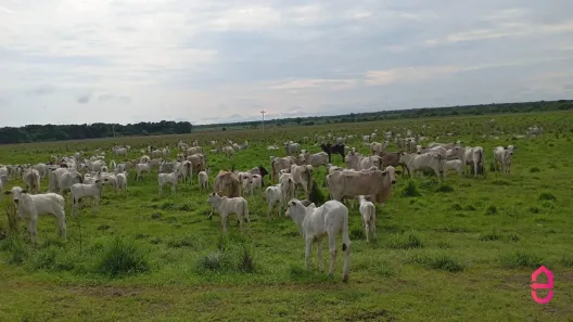 Fazenda / Sítio / Chácara com 1 Quarto à venda, 130m² no , Formoso do Araguaia