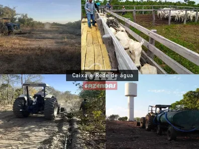 Fazenda / Sítio / Chácara à venda, 500m² no , Paranã