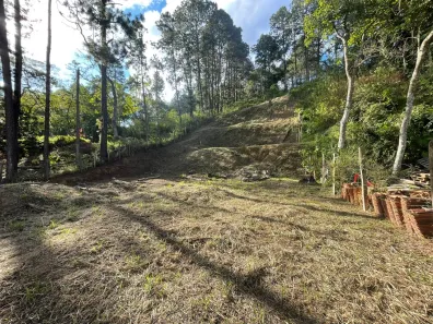 Terreno / Lote / Condomínio à venda, 1650m² no Barão de Javary, Miguel Pereira