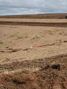 Fazenda / Sítio / Chácara com 10 Quartos à venda, 1000m² no , Pompéia