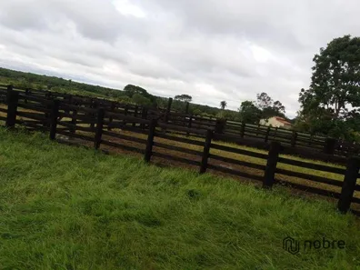 Fazenda / Sítio / Chácara com 3 Quartos à venda, 110m² no Gurupi, Gurupi