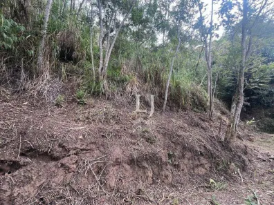 Terreno / Lote / Condomínio à venda, 772m² no Pedro do Rio, Petrópolis