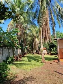 Fazenda / Sítio / Chácara com 4 Quartos à venda, 236m² no Alvorada do Sul, Alvorada do Sul