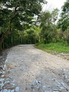 Terreno / Lote / Condomínio à venda, 300m² no , Pacoti