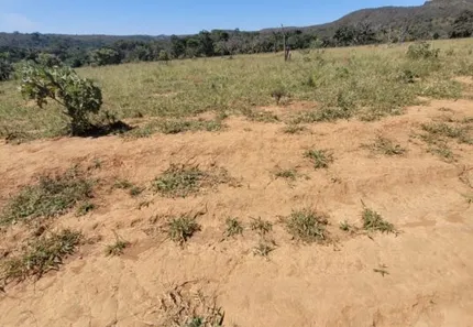 Fazenda / Sítio / Chácara com 3 Quartos à venda, 556000m² no Área Rural de Santo Antônio do Descoberto, Santo Antônio do Descoberto