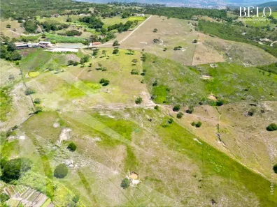 Fazenda / Sítio / Chácara com 3 Quartos à venda, 220000m² no , Sairé