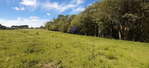 Fazenda / Sítio / Chácara com 3 Quartos à venda, 24200m² no , Contenda