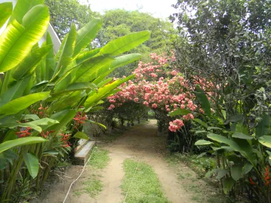 Casa com 4 Quartos para alugar, 300m² no Aldeia dos Camarás, Camaragibe