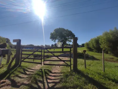 Fazenda / Sítio / Chácara com 2 Quartos à venda, 35000m² no Boi Morto, Santa Maria