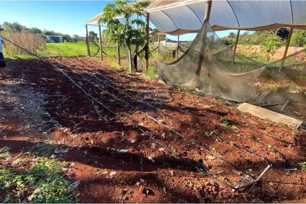 Fazenda / Sítio / Chácara com 3 Quartos à venda, 5200m² no Náutica, Foz do Iguaçu