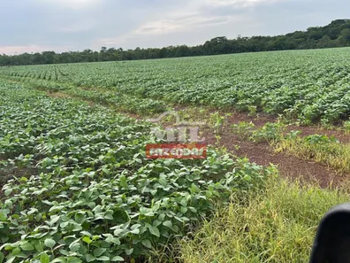 Fazenda / Sítio / Chácara à venda, 2444m² no , Santa Maria do Tocantins