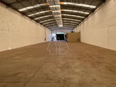 Galpão / Depósito / Armazém para alugar, 880m² no Parque Industrial, Araçatuba
