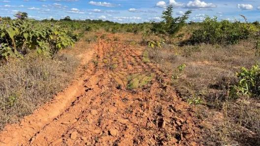 Fazenda / Sítio / Chácara com 3 Quartos à venda, 232m² no Setor Serrano, Paraíso do Tocantins
