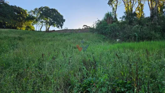 Fazenda / Sítio / Chácara com 1 Quarto à venda, 10975m² no Área Rural de Araucária, Araucária