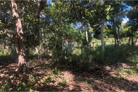 Terreno / Lote / Condomínio à venda, 9236m² no Caititus, Arapiraca