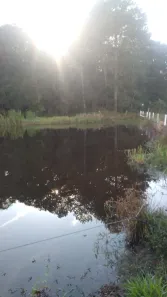 Fazenda / Sítio / Chácara com 3 Quartos à venda, 150m² no , Pilar do Sul
