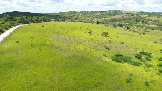 Fazenda / Sítio / Chácara à venda, 61000m² no , Sairé