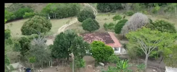 Fazenda / Sítio / Chácara com 6 Quartos à venda, 400000m² no Campinas, Vitória de Santo Antão