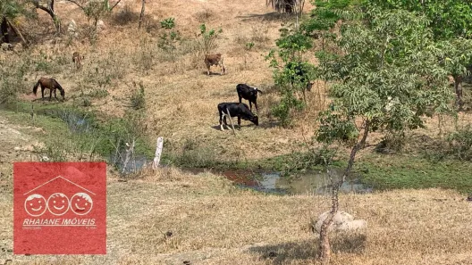 Terreno / Lote / Condomínio à venda, 20000m² no , Florestal
