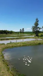 Fazenda / Sítio / Chácara à venda, 338800m² no , Leópolis
