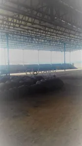Galpão / Depósito / Armazém com 1 Quarto à venda, 3500m² no Cintra, Montes Claros