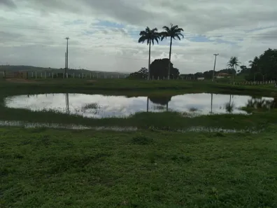 Fazenda / Sítio / Chácara com 4 Quartos à venda, 150000m² no Matriz, Vitória de Santo Antão