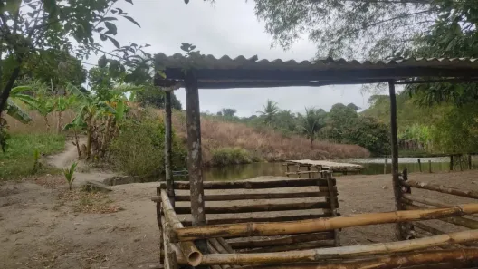 Fazenda / Sítio / Chácara com 4 Quartos à venda, 20000m² no Distrito Industrial (Prefeito José Augusto Ferrer de Morais), Vitória de Santo Antão
