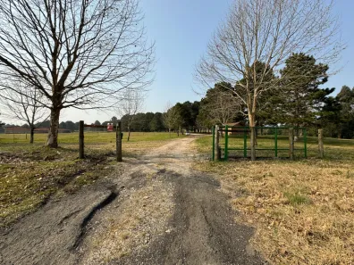 Terreno / Lote / Condomínio à venda, 348098m² no São Luiz do Purunã, Balsa Nova