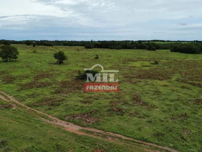 Fazenda / Sítio / Chácara à venda, 500m² no , Formoso do Araguaia