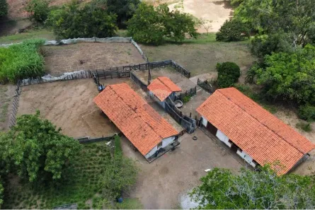 Fazenda / Sítio / Chácara à venda, 114000m² no Jardim Recreio, Conde