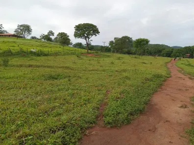 Fazenda / Sítio / Chácara com 3 Quartos à venda, 130000m² no , Padre Bernardo