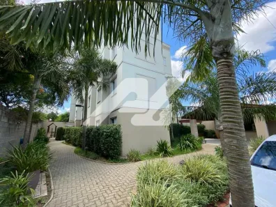Apartamento com 2 Quartos à venda, 60m² no Vila José Paulino Nogueira, Paulínia