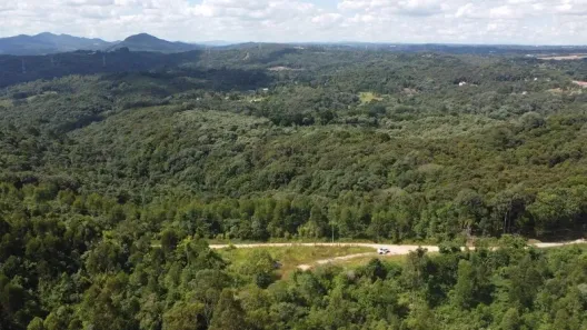 Fazenda / Sítio / Chácara com 1 Quarto à venda, 20000m² no Itaqui de Cima, Campo Largo
