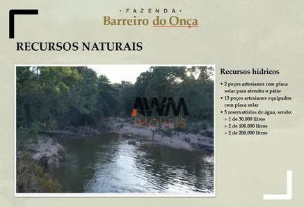Fazenda / Sítio / Chácara à venda, 97000000m² no , Paranã