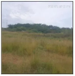 Terreno / Lote / Condomínio com 1 Quarto à venda, 1000m² no Aliança, Aliança