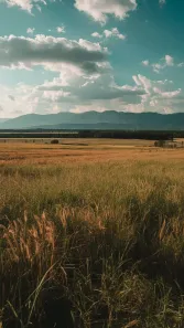 Fazenda / Sítio / Chácara à venda, 1000m² no , Alumínio
