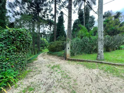 Fazenda / Sítio / Chácara à venda, 11141m² no Mato Dentro, Almirante Tamandaré