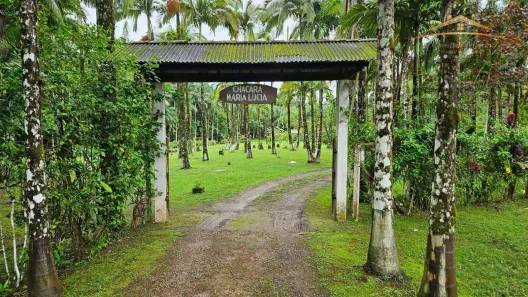 Fazenda / Sítio / Chácara com 4 Quartos à venda, 36469m² no , Antonina