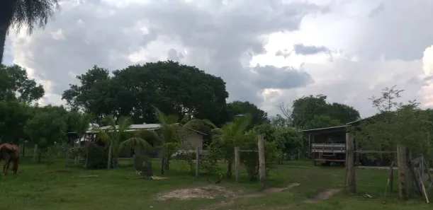 Fazenda / Sítio / Chácara à venda, 1000000m² no , Porto Murtinho