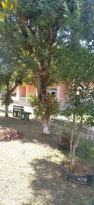 Fazenda / Sítio / Chácara com 3 Quartos à venda, 4000m² no Área Rural de Viçosa, Viçosa