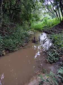Terreno / Lote / Condomínio à venda, 20000m² no , Fortuna de Minas