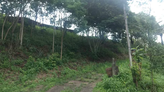 Fazenda / Sítio / Chácara com 2 Quartos à venda, 11000m² no Barreira (Bacaxá), Saquarema