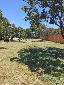 Terreno / Lote / Condomínio à venda, 1320m² no , Leopoldo de Bulhões