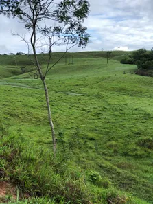 Fazenda / Sítio / Chácara à venda, 1050000m² no , São José da Laje