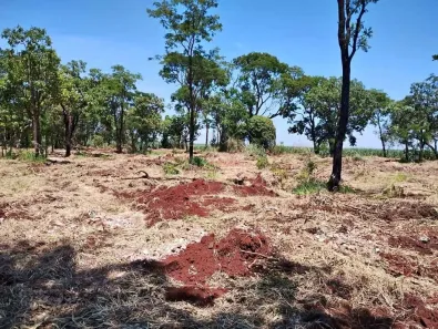 Fazenda / Sítio / Chácara à venda, 2500m² no Portal das Laranjeiras, Araraquara