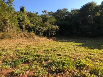 Fazenda / Sítio / Chácara com 1 Quarto à venda, 5121m² no Área Rural de Viçosa, Viçosa