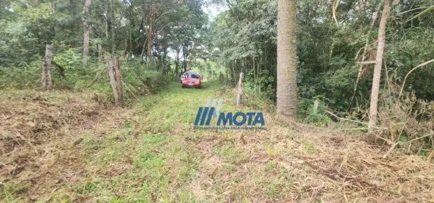 Fazenda / Sítio / Chácara à venda, 186700m² no Área Rural de Campo Largo, Campo Largo