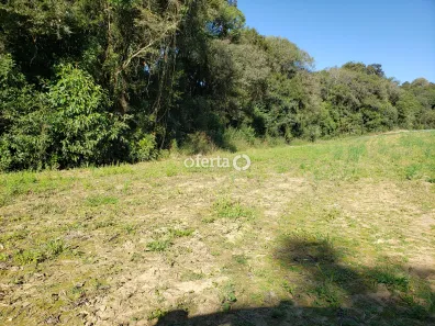 Fazenda / Sítio / Chácara à venda, 22385m² no Porto das Laranjeiras, Araucária