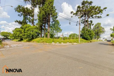 Terreno / Lote / Condomínio para alugar, 6071m² no Boneca do Iguaçu, São José dos Pinhais